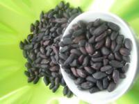 世志生物科技發(fā)展 推動生物技術推廣的戰(zhàn)略與實踐