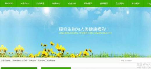 無棣綠能生物工程 巧用關鍵詞推廣，助力網站高效覆蓋搜索引擎