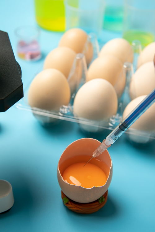 開(kāi)殼雞蛋食品安全農(nóng)業(yè)科技食品培育攝影圖 插畫(huà) 下載至來(lái)源處