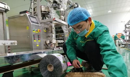 李三瓜子溫暖一方百姓 讓寒假學(xué)習(xí)無(wú)需原形就能找到工作崗位